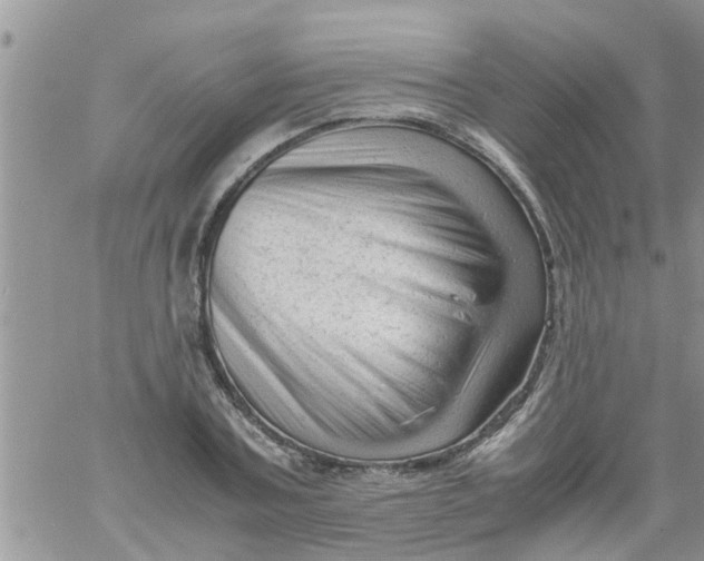 X0000061120787200512091842