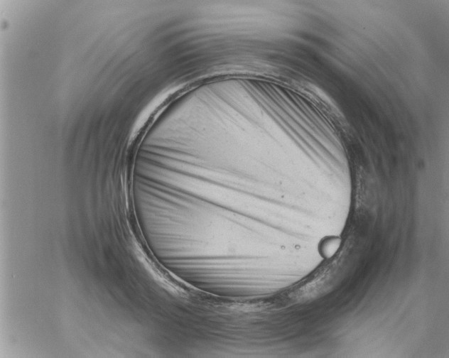 X0000061120796200512091842