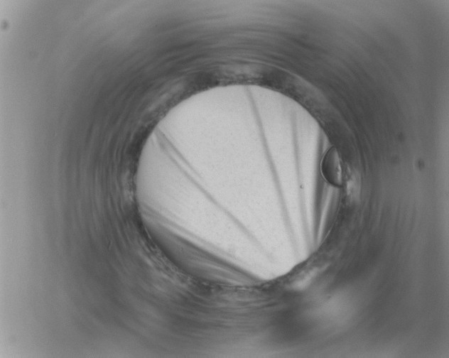 X0000061120819200512091841