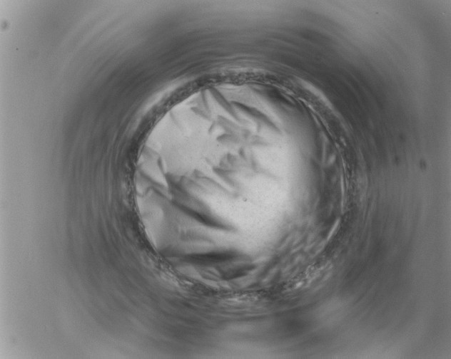 X0000061120823200512091841