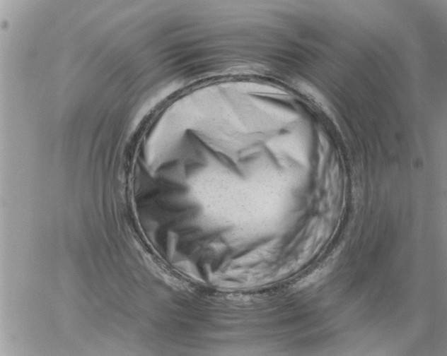 X0000061120827200512091841