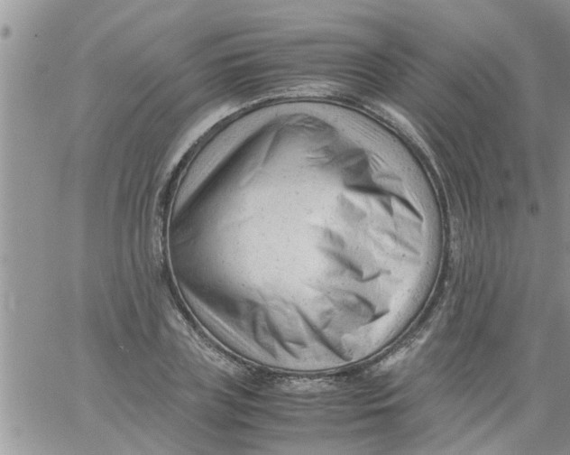 X0000061120835200512091841