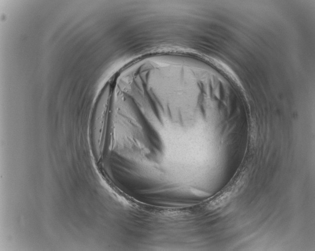 X0000061120847200512091841