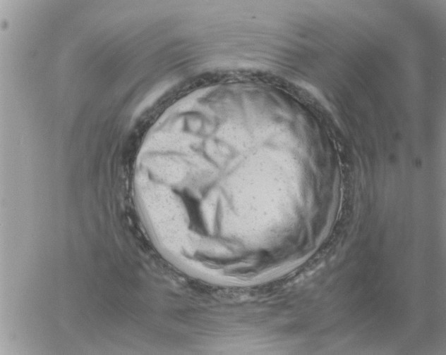 X0000061120871200512091840
