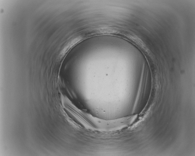 X0000061120889200512091840
