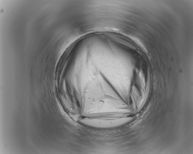 X0000061120895200512091840