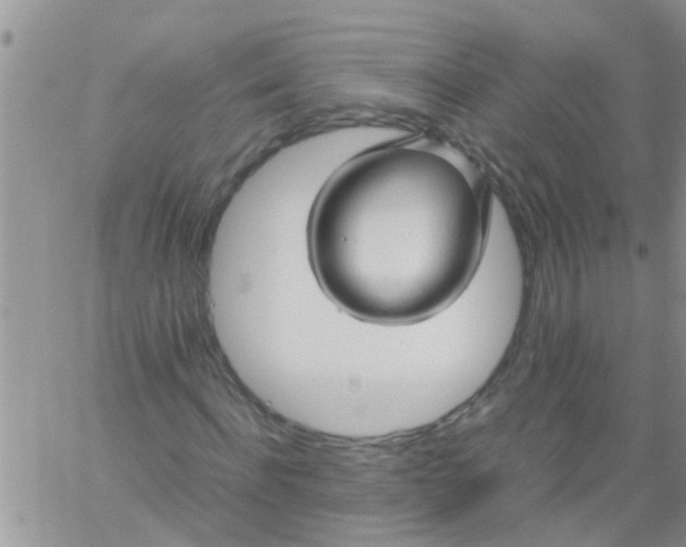 X0000061120916200512091839