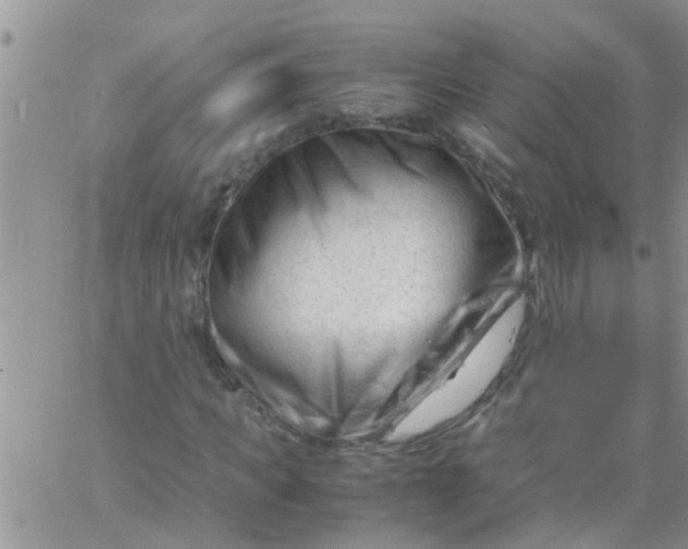 X0000061120917200512091839