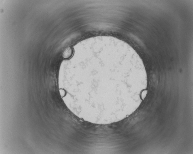 X0000061120918200512091839