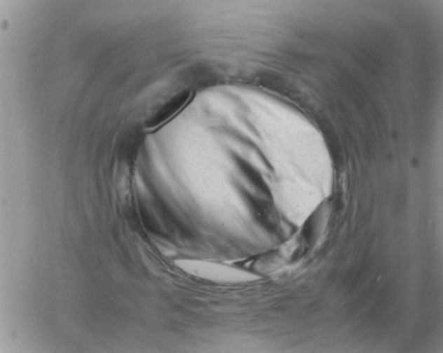 X0000061120963200512091839