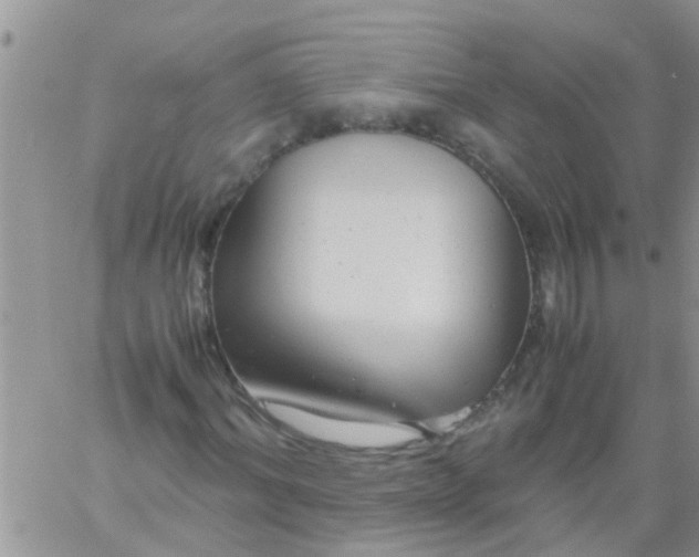 X0000061120964200512091839