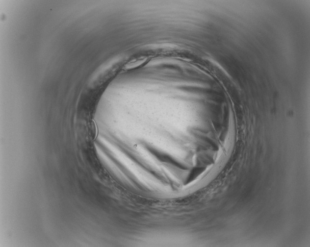 X0000061120967200512091839