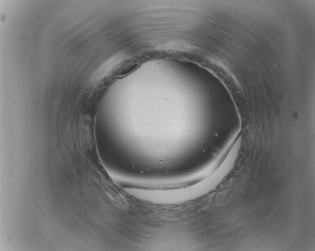 X0000061120968200512091839