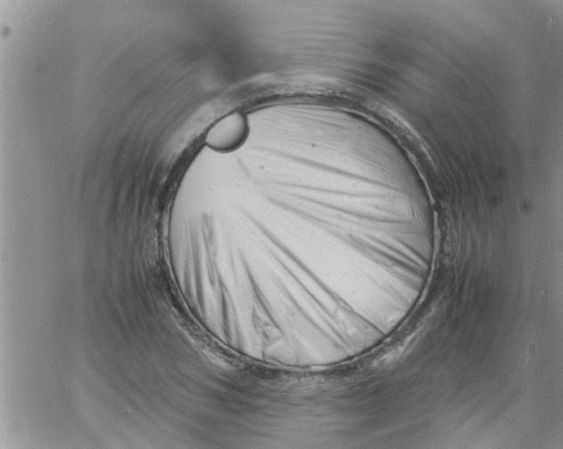 X0000061120978200512091839