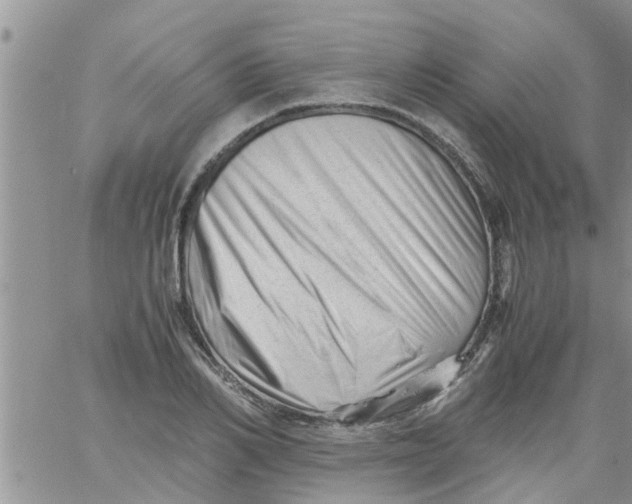 X0000061120982200512091839