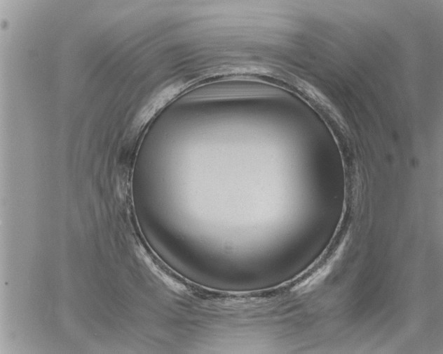X0000061120985200512091839