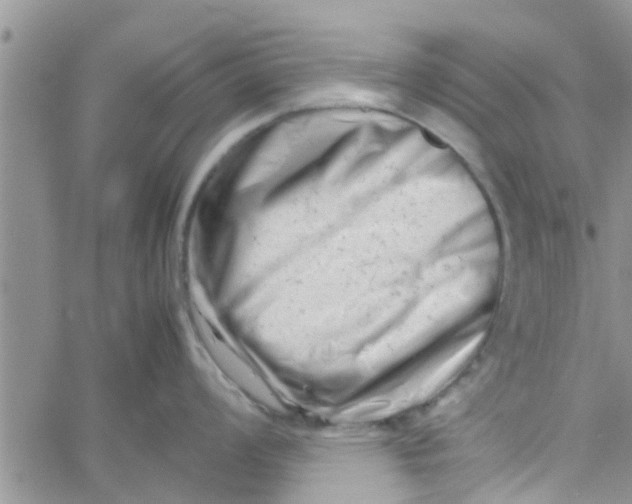 X0000061121008200512091838