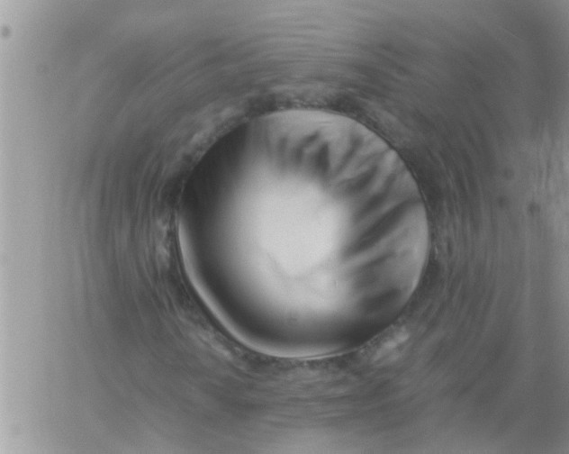 X0000061121010200512091837