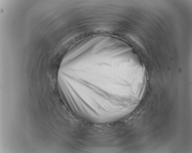 X0000061121015200512091837