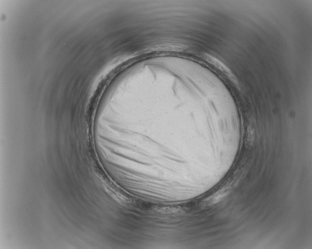X0000061121027200512091838