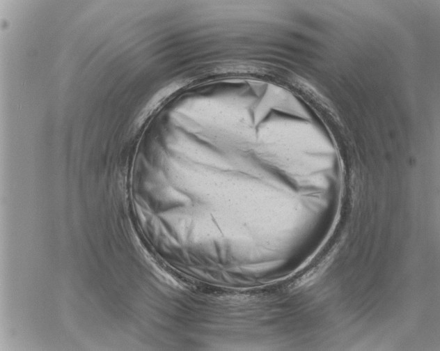 X0000061121033200512091838