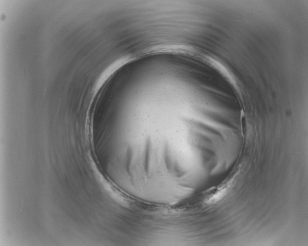 X0000061121050200512091838