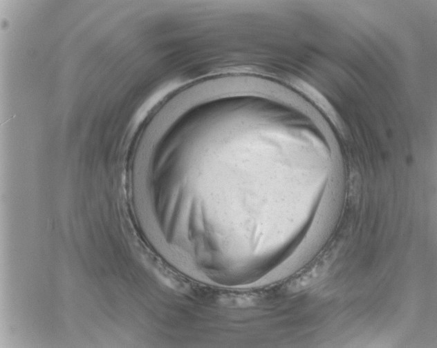 X0000061121051200512091838