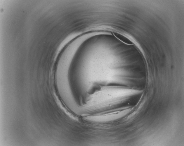 X0000061121053200512091838