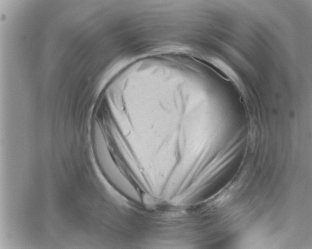 X0000061121055200512091838
