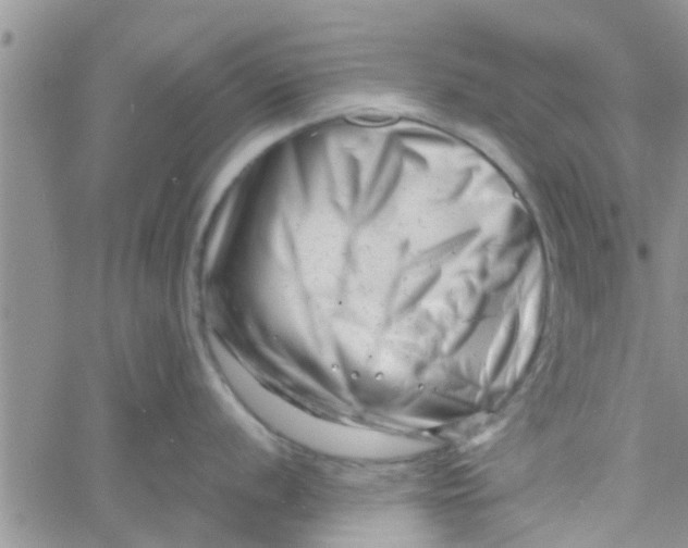 X0000061121056200512091838