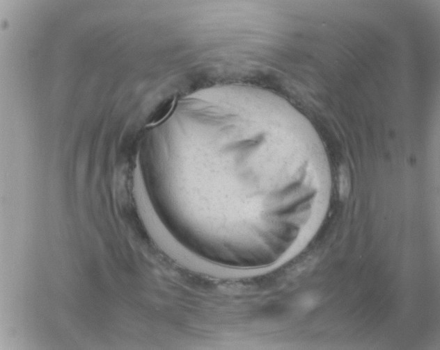 X0000061121059200512091837