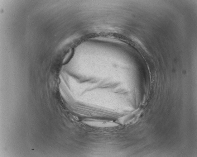 X0000061121063200512091837