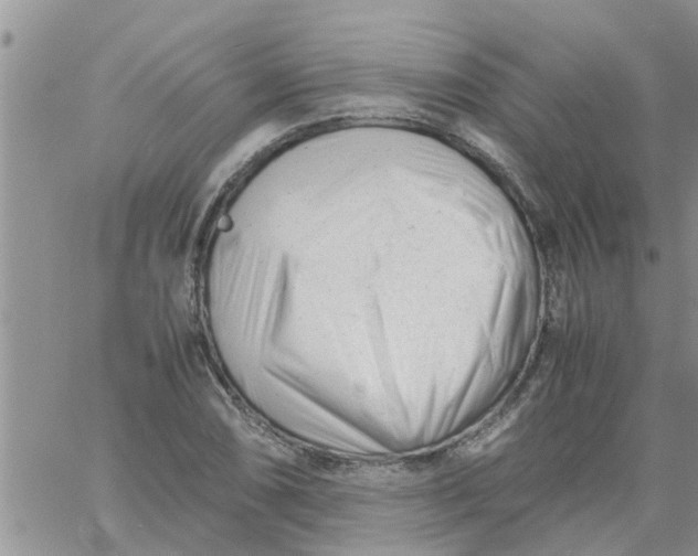 X0000061121074200512091837