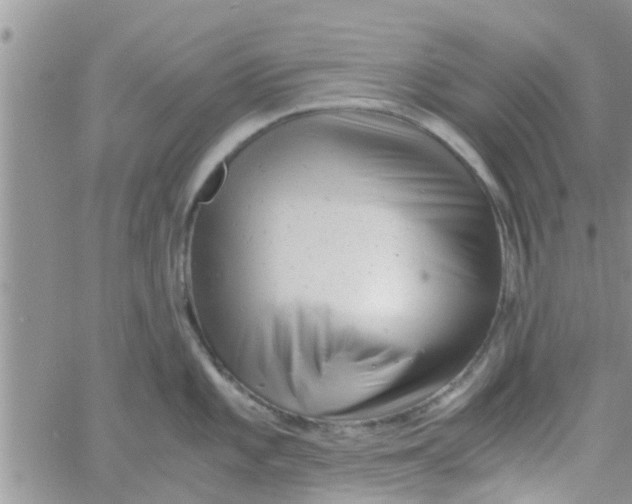 X0000061121101200512091837