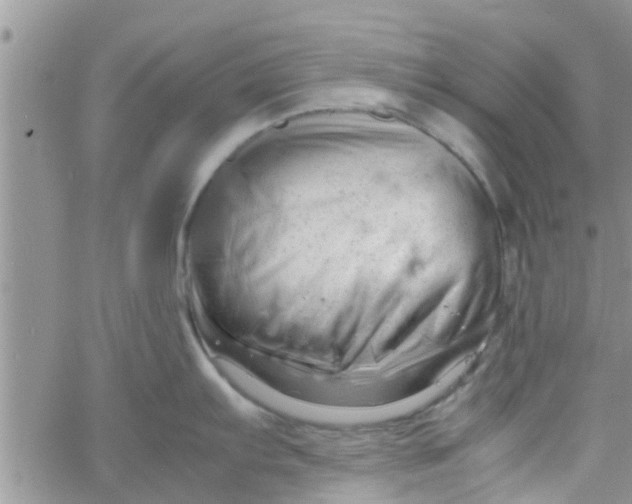 X0000061121103200512091836