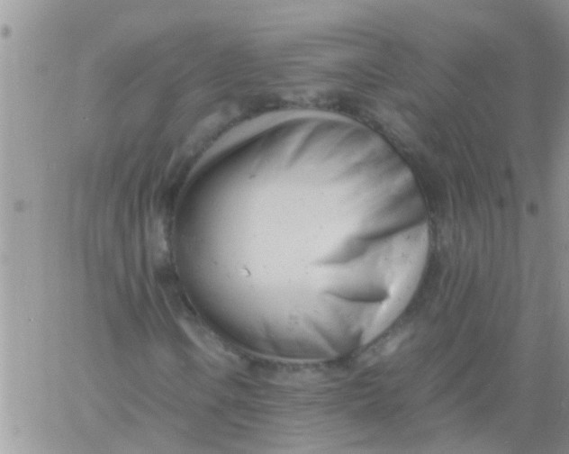 X0000061121106200512091836