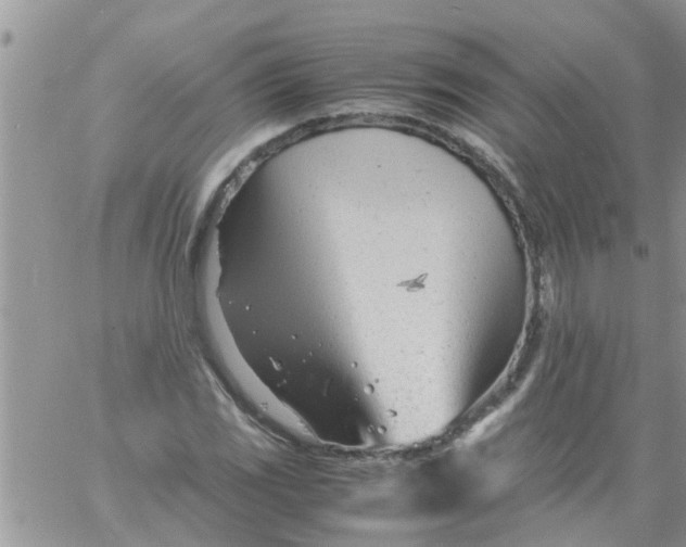 X0000061121117200512091836