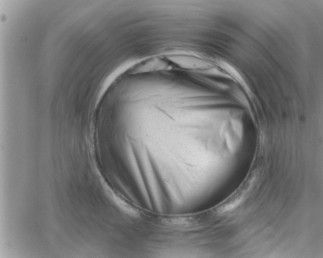 X0000061121149200512091836