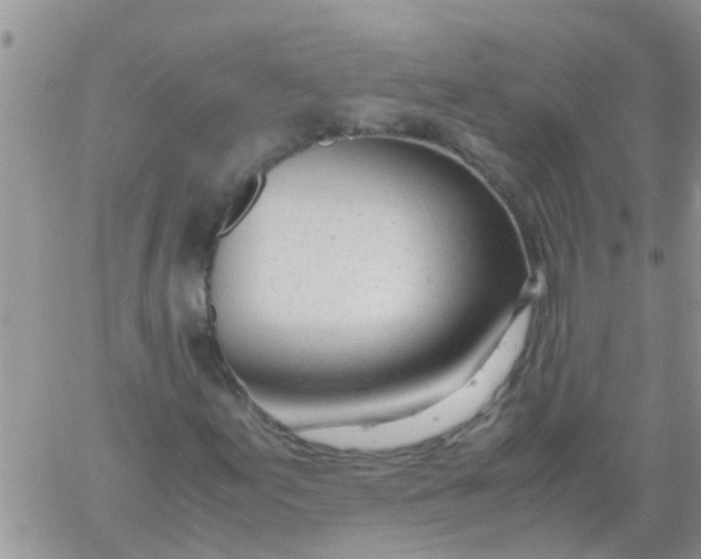 X0000061121155200512091836