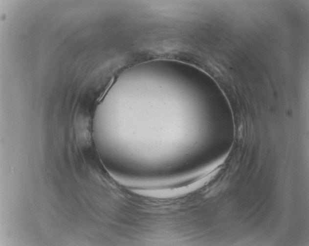X0000061121156200512091836