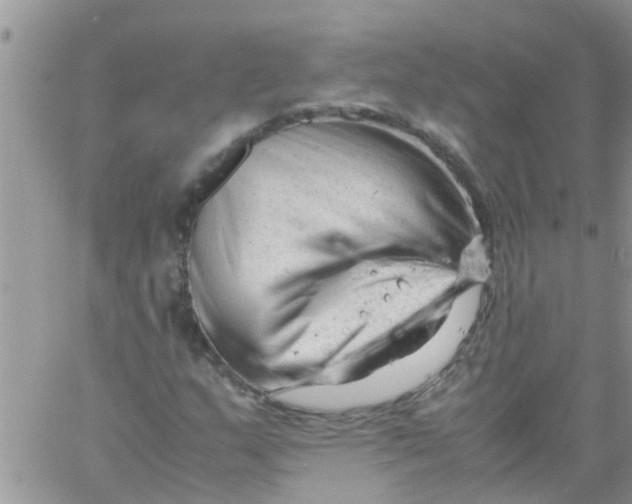 X0000061121159200512091836
