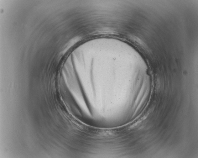 X0000061121162200512091836