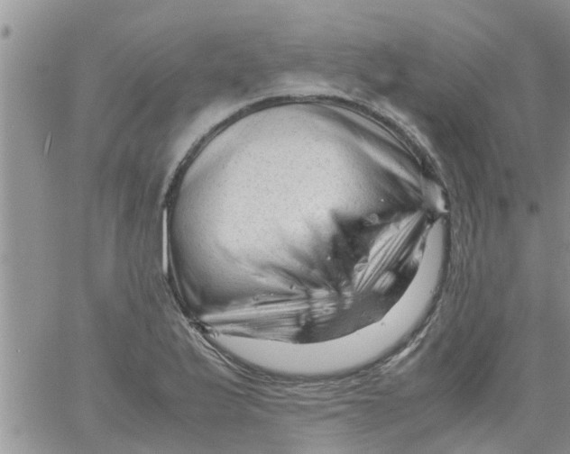 X0000061121175200512091835