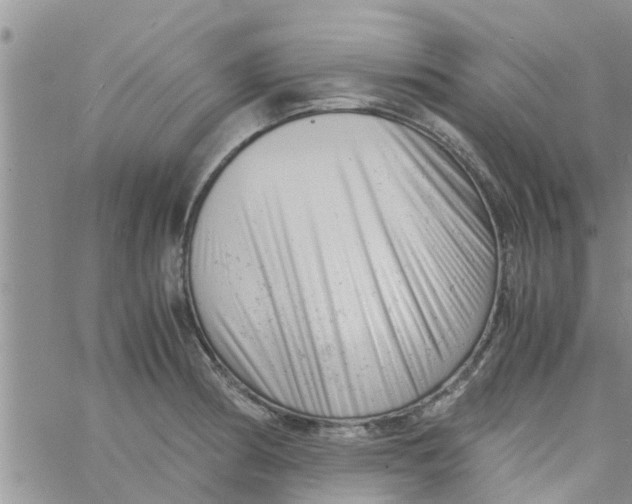 X0000061121186200512091835