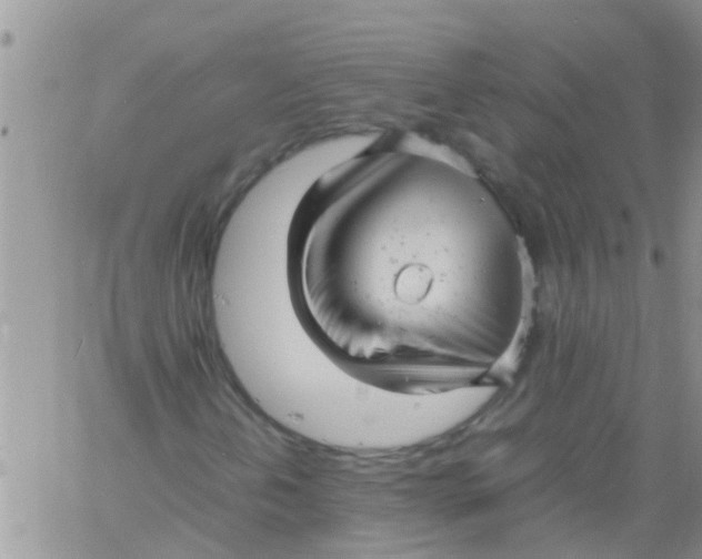 X0000061121202200512091834
