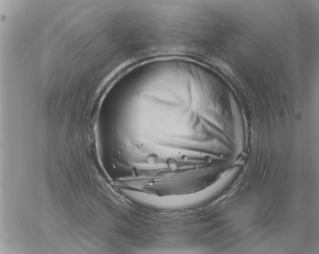 X0000061121212200512091834