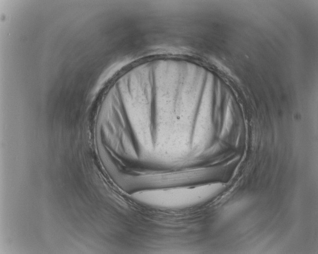 X0000061121215200512091834