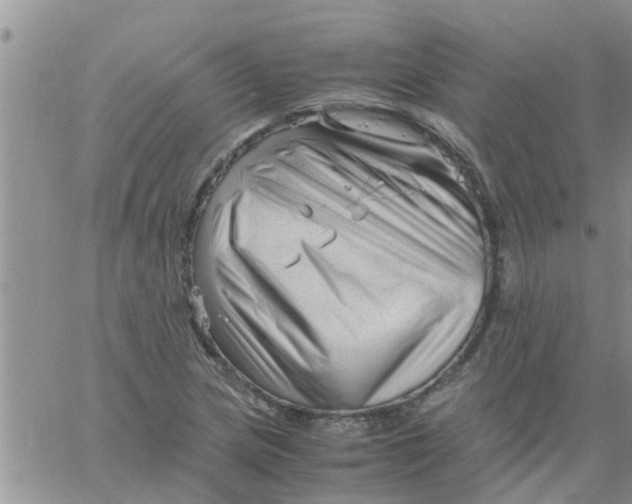 X0000061121217200512091834