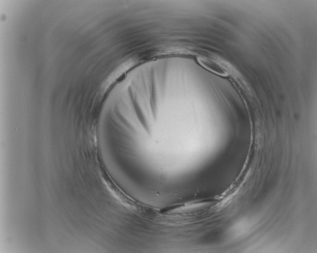 X0000061121241200512091835