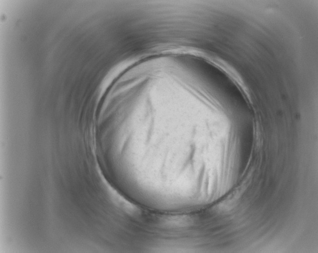 X0000061121247200512091835